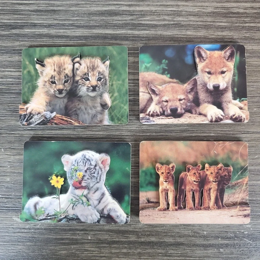 Jungle Animal Wild Cat Magnet Set Of 4 - 3 Dimensional Wildlife Photography